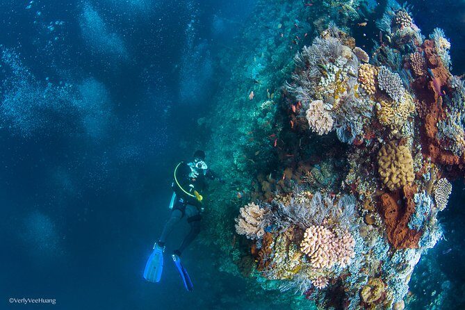 Bali Diving Day Trip-Manta Point/Tulamben Shipwreck-Fun Dive - From Seminyak Pickup to Tulamben’s Shore: How the Day Really Flows