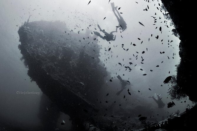 Bali Diving Day Trip-Manta Point/Tulamben Shipwreck-Fun Dive - Sanur Check-In: Paperwork, Gear Rental, and Getting Set Up