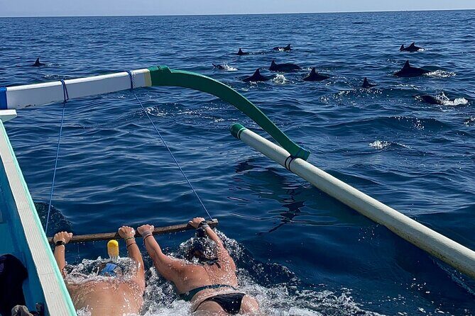 Bali : Dolphin Sunrise Experience Tour Private All Inclusive - Key things I’d watch before you go