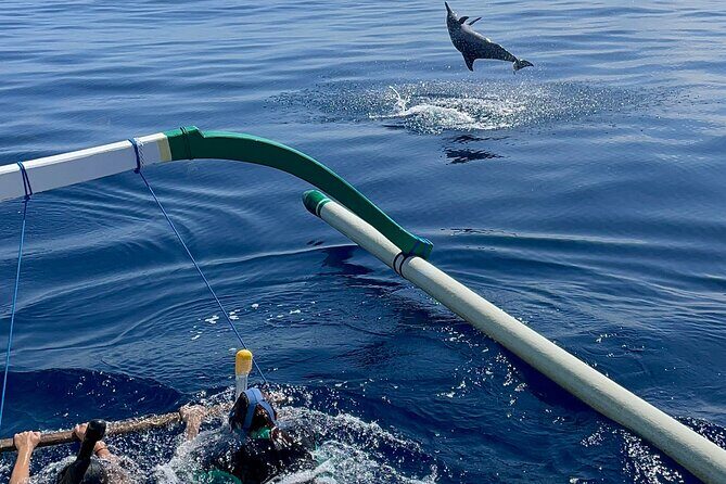 Bali : Dolphin Sunrise Experience Tour Private All Inclusive - Optional Luwus coffee plantation for a calmer add-on
