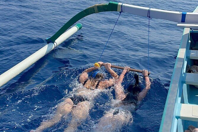 Bali : Dolphin Sunrise Experience Tour Private All Inclusive - Price and what you actually get for $33