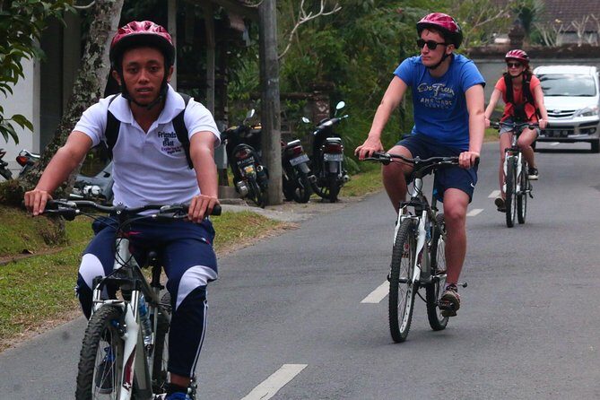 Bali Downhill Cultural Cycling Tour - Kintamani Highland: The Volcano View Stop That’s Short for a Reason