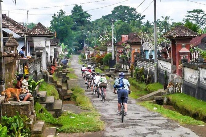 Bali Downhill Cycling and White Water Rafting - Morning Pickup to Kintamani: the day starts with real views