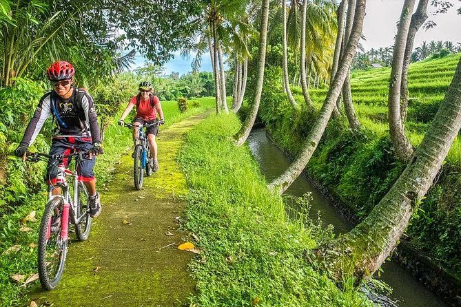 Bali Downhill Cycling and White Water Rafting - Lunch in Ubud: fueling up before the river