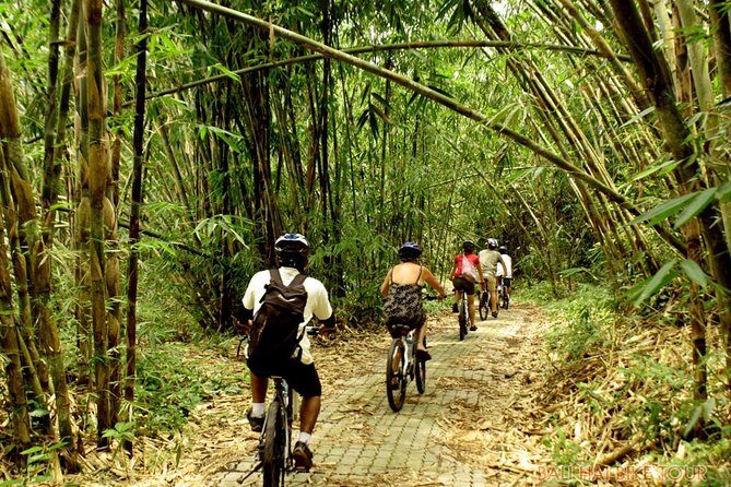 Bali Downhill Cycling and White Water Rafting - How the package earns its $100 value