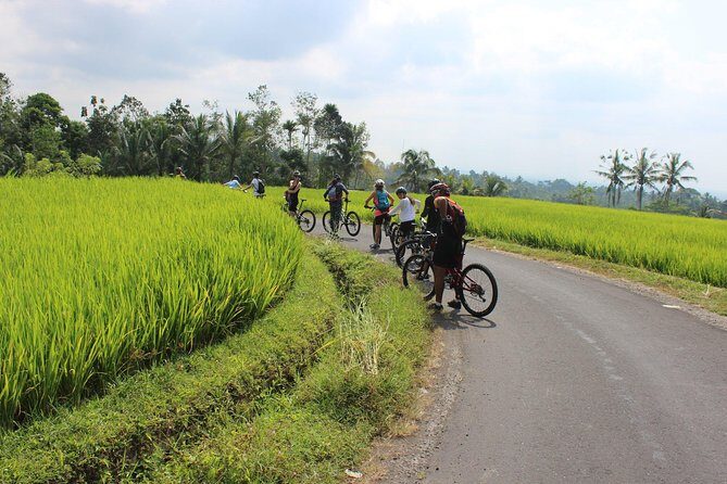 Bali Downhill Cycling and White Water Rafting - Should you book Bali Downhill Cycling and White Water Rafting?