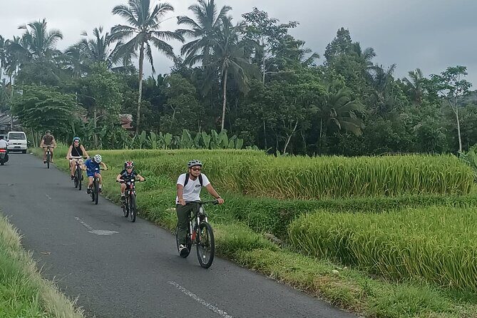 Bali Downhill Natural Cycling Tour & visit Volcano - The Mount Batur crater lake stop in Kintamani