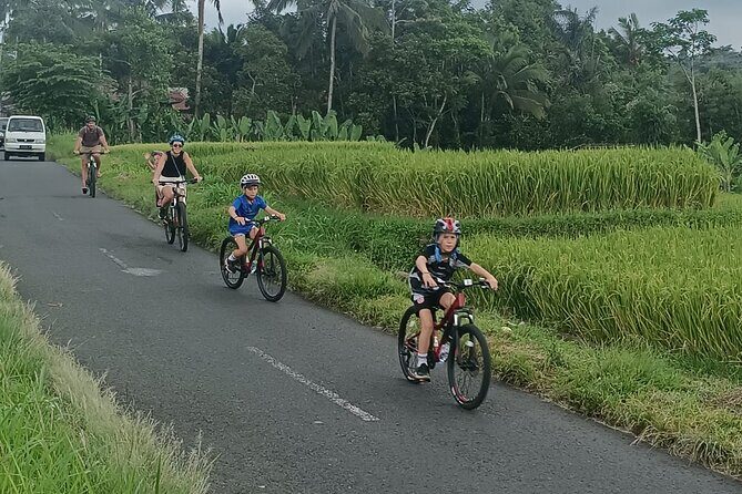 Bali Downhill Natural Cycling Tour & visit Volcano - Temple and traditional home visits: culture you can actually observe