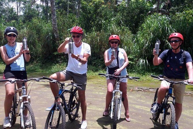 Bali Eco & Educational Cycling Tour - Getting Out of Ubud Traffic and Into Real Bali