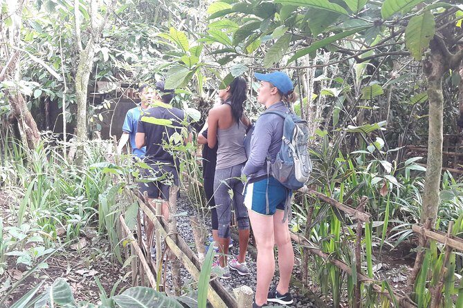 Bali Eco & Educational Cycling Tour - Lunch, Snacks, and a Coffee Break That Keep the Day Comfortable