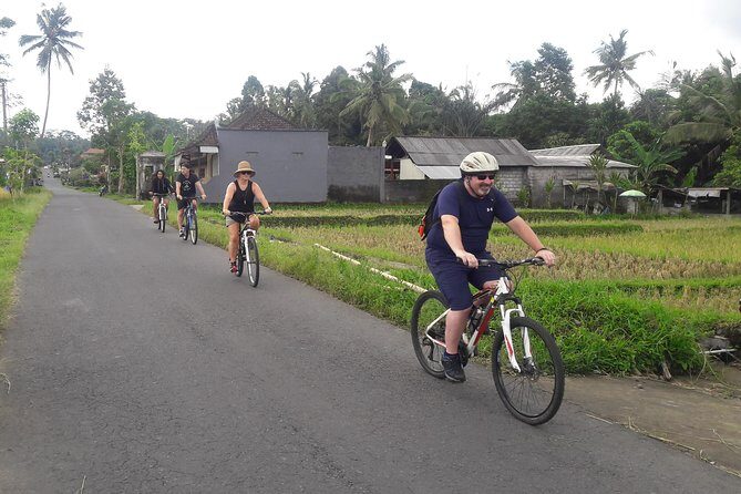 Bali Eco & Educational Cycling Tour - Price and Value: What $48.87 Buys You