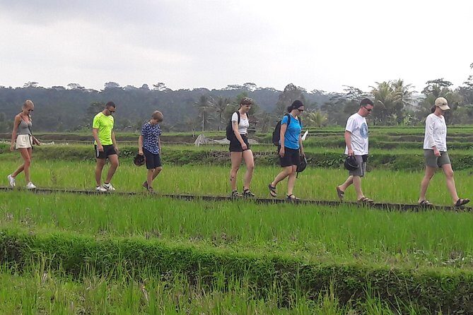 Bali Eco & Educational Cycling Tour - What You’re Really Learning Here