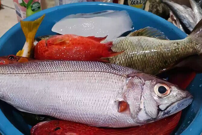 Bali: Fishing Charter Private Boat - Views from the boat: Mount Agung and island scenery
