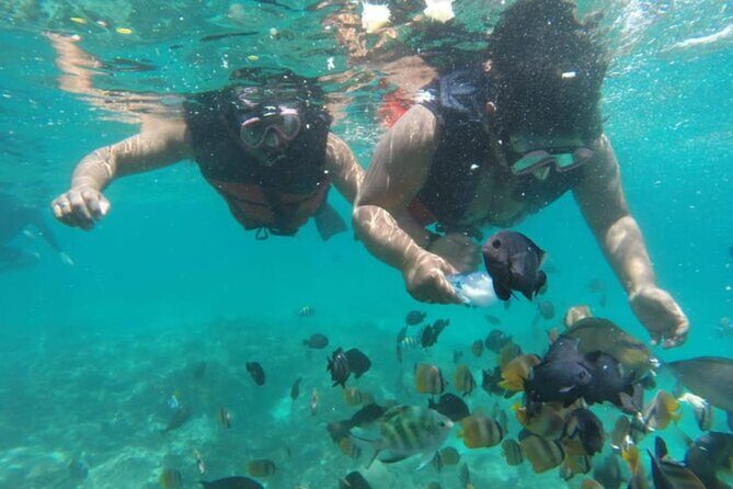 Bali: Fishing trip & Blue Lagoon Snorkeling with Lunch - Entering the water: Blue Lagoon and Tanjung Jepun snorkeling