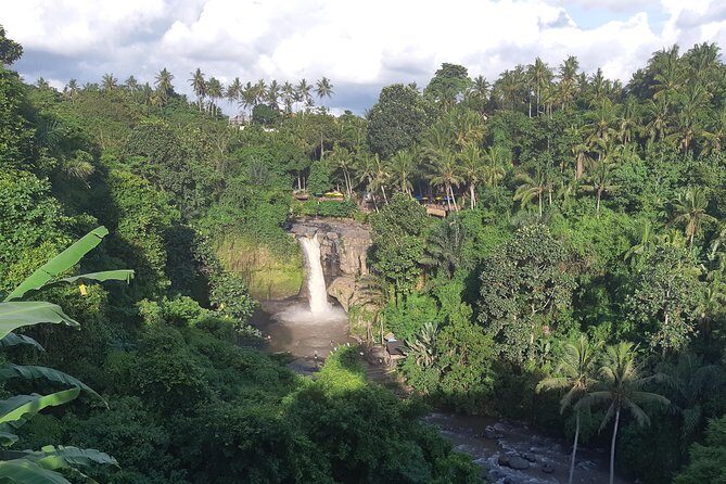 Bali Full Day Holy Water Tour - Price and Logistics: Is $59 a Fair Deal for 10 Hours?