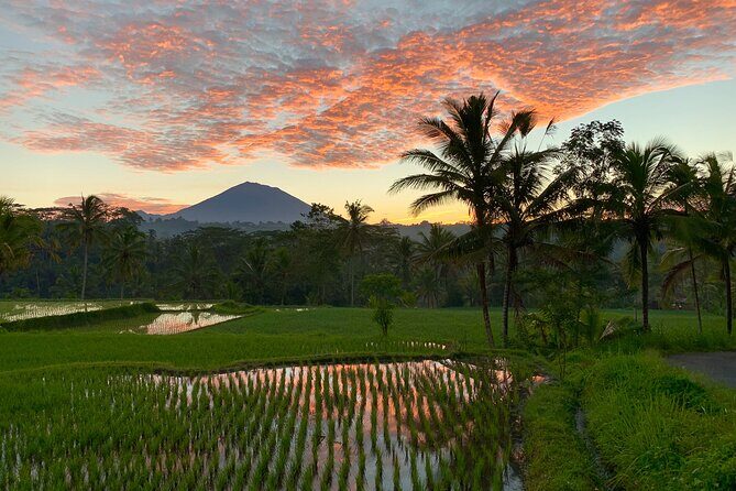 Bali Full Day Photography Tour - How the Photo Guidance Helps You Get Better Fast