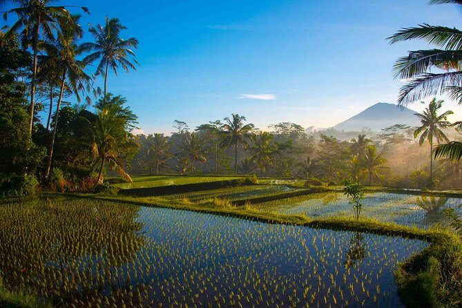 Bali Full Day Photography Tour - The Lunch Moment: Village-Style Food Beats Tourist Stops