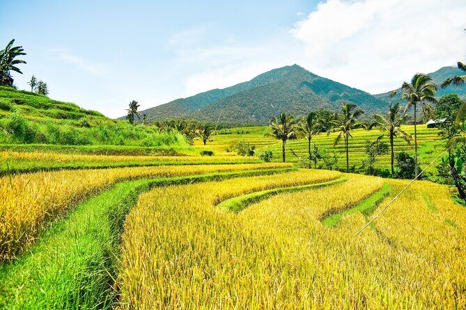 Bali Full-Day Private Customize Tour - Starting in Seminyak: Pickup, AC Comfort, and the Private Advantage