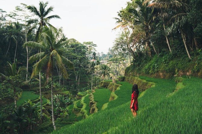 Bali Full-Day Sightseeing Trip with Lunch - Mount Batur viewpoint and lunch: the volcano moment you came for