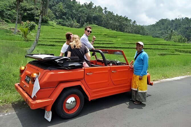 Bali Full-Day The Gate of Heaven Tour by VW Safari Classic Car - Tenganan Ancient Village: Bali Aga village layout and craft culture