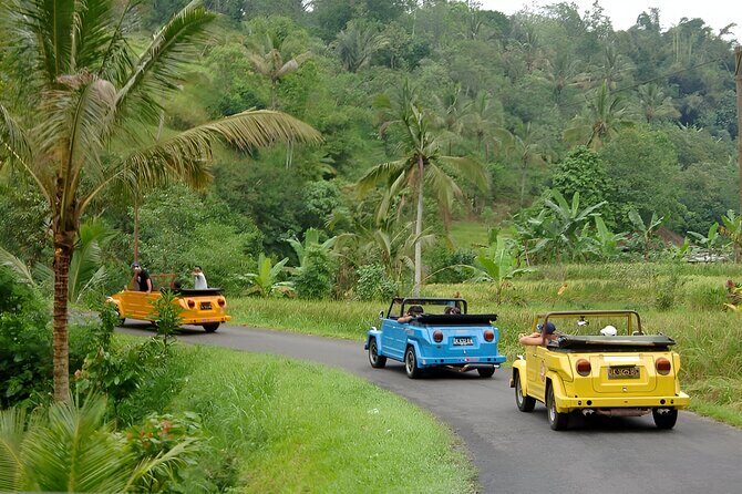 Bali Full-Day The Gate of Heaven Tour by VW Safari Classic Car - Duration, pacing, and why 9–10 hours can feel manageable