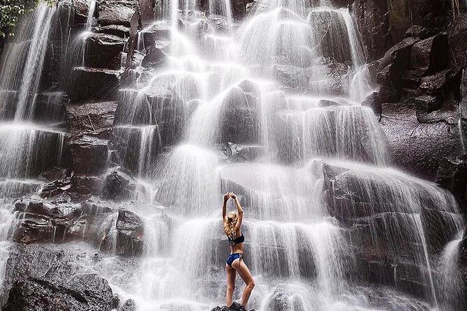 Bali Full Day Tour | Individual Route in Bali | Bali Guide | Free Wi-Fi - Ubud and central Bali options: Monkey Forest, rice terraces, and holy spring water
