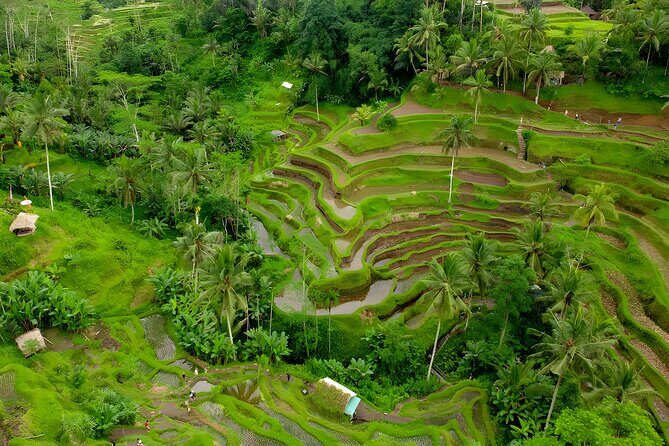 Bali Full Day-Tour: Ubud Sightseeing Trip - Goa Gajah (Elephant Cave): Archaeology With a Calm Feel