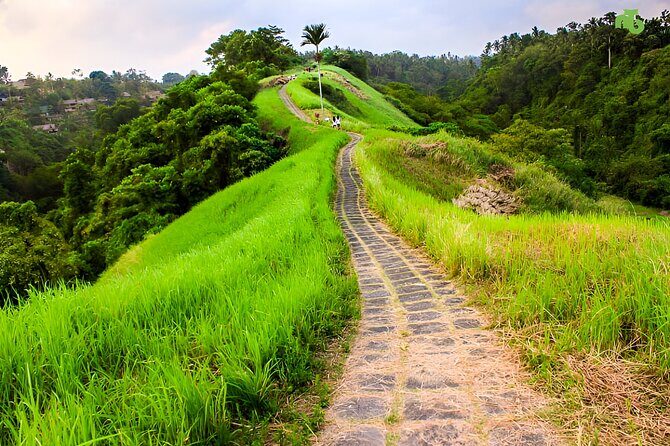 Bali Full Day-Tour: Ubud Sightseeing Trip - Seminyak or Ubud Pickup: The Convenience Dividend