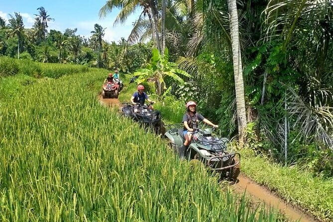 Bali Full-Day Tours : Waterfall and Ubud Destination Trip - Tegalalang Rice Terrace: how to turn an icon into great photos