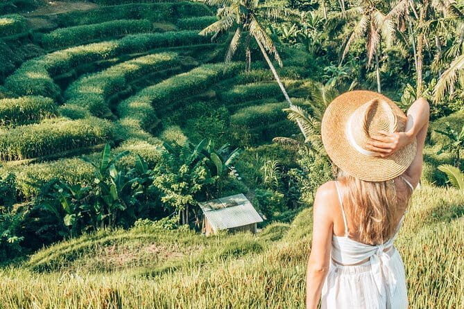 Bali Full-Day Tours : Waterfall and Ubud Destination Trip - Sacred Monkey Forest Sanctuary: the fun part with real rules