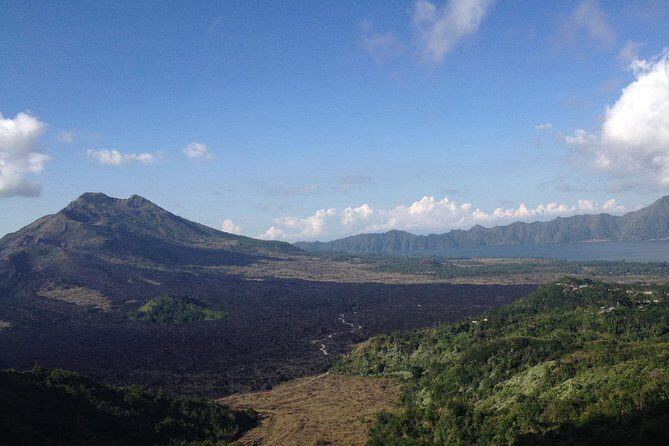 Bali Full-Day Traditional Village Sightseeing Trip All Inclusive - Sacred Monkey Forest: fun time, plus practical safety expectations