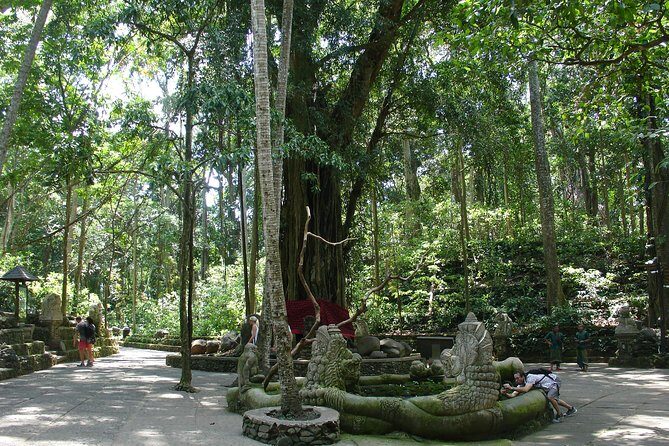 Bali Full-Day Traditional Village Sightseeing Trip All Inclusive - Tegenungan Waterfall: the last big sight before you head back