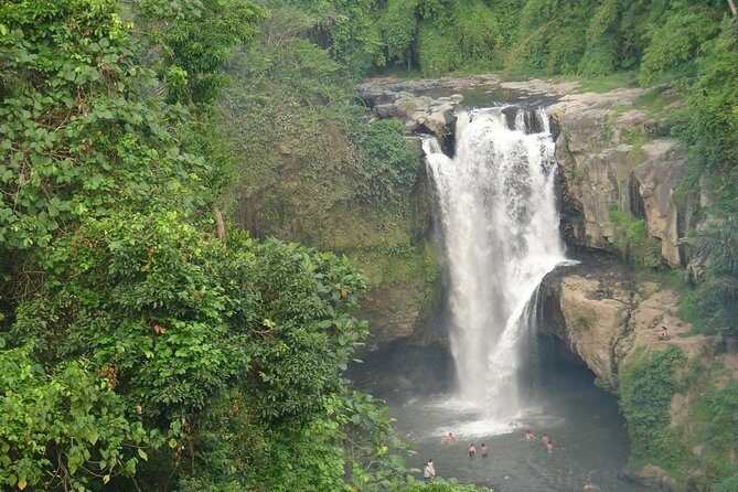 Bali Full-Day Traditional Village Sightseeing Trip All Inclusive - Tegalalang rice terraces (plus swings/zip lines) and the luwak coffee stop