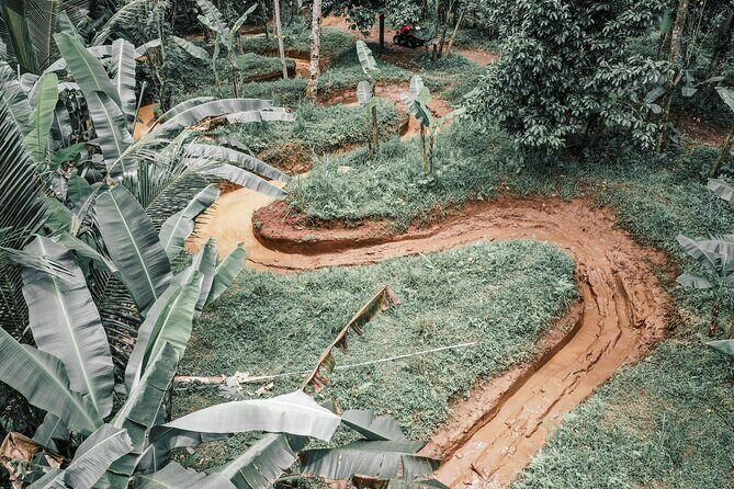 Bali: Gorilla Face ATV Bali Ubud Adventure with Lunch - The viewpoint moment that breaks up the ride