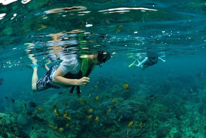 Bali Hai - Aristocat Sailing Cruise - Key points at a glance