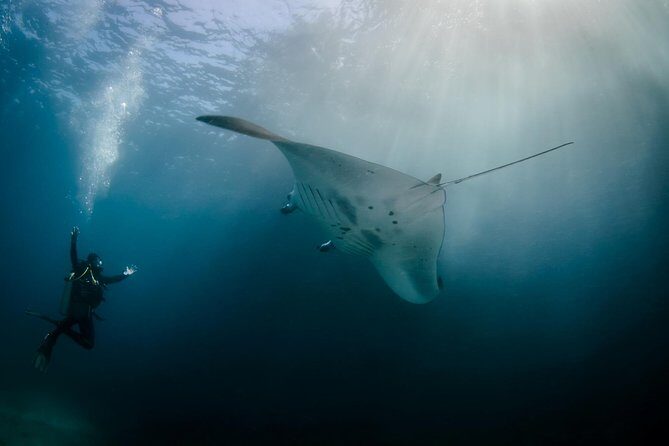 Bali Hai - Reef Cruise - Key Things I’d Prioritize on This Cruise