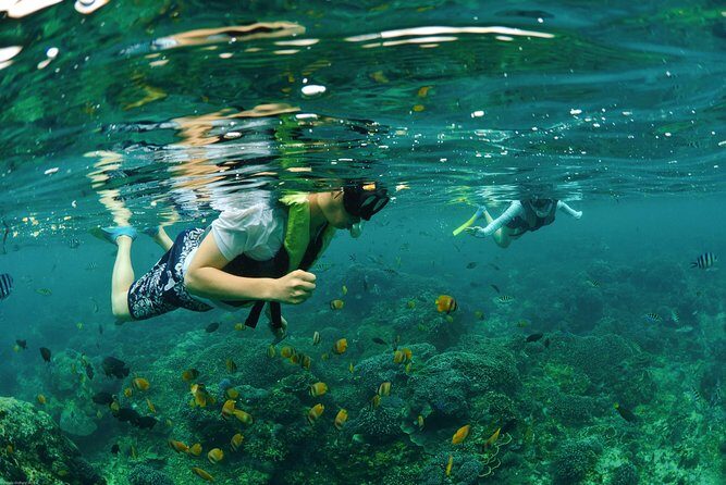 Bali Hai - Reef Cruise - The Included Food Plan: Lunch, Snacks, and a Real Break