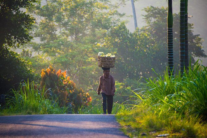 Bali Half Day Photography Tour - Who this tour is best for (and who should skip it)