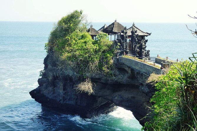 Bali Half Day Tour - Taman Ayun temple, Alas Kedaton,Tanah lot sunset Dinner - Alas Kedaton Monkey Forest: Free-Roaming Natives, Tamable Vibes