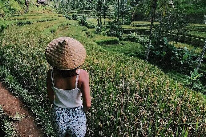 Bali Half Day Trip : All-Inclusive and Private Guided Tour - A 6-hour Ubud sampler with air-conditioned comfort