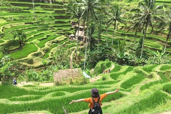 Bali Highlight Private Packages Tours 3 Days - Day 2: Water Sports by the Beach, Uluwatu Cliffs, and Jimbaran Seafood