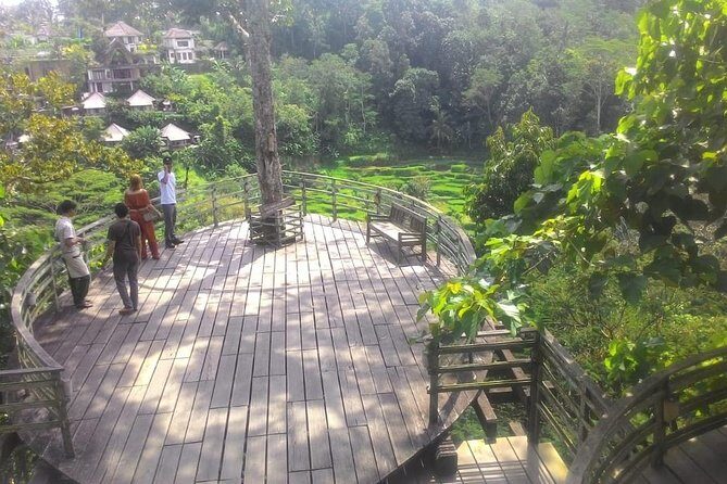 Bali Hindu temple, Rice terrace, Waterfall -All Inclusive - Stop 5 and 6: Lunch Break, Then Tegenungan Waterfall