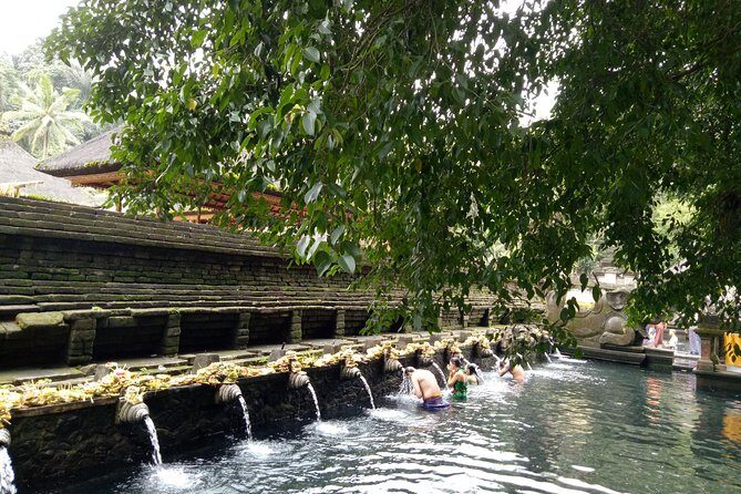 Bali Holy Bathing Ritual and Ubud Highlights tour - Getting Started at 8:30: Pickup, Car Comfort, and Real Pacing