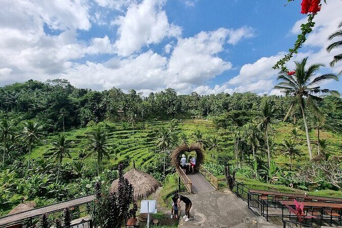 Bali Holy Bathing Ritual and Ubud Highlights tour - Sacred Monkey Forest Sanctuary: How to Enjoy It (Without Getting Stressed)