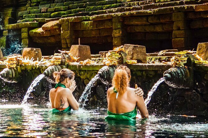Bali Holy Water Purification and Palm Reading - Private group pacing: the difference between a tour and a day out
