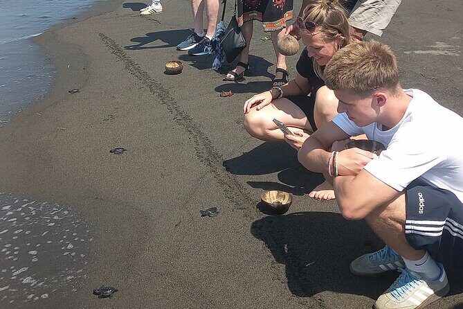 Bali Horse Riding and Turtle Release at Saba Beach - Who This Tour Fits Best (and Who Should Skip It)