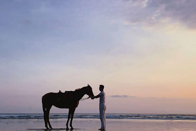 Bali Horse Riding Sanur Beach include Transport - Who This Tour Fits Best (And Who Might Want Another Option)