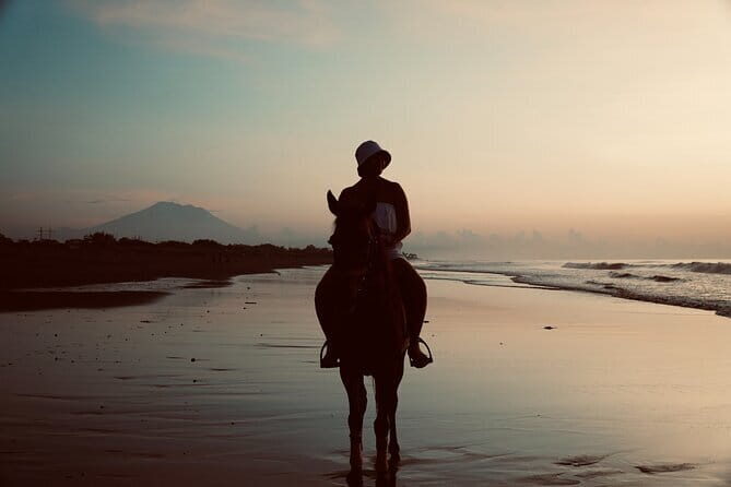 Bali Horse Riding Sanur Beach include Transport - Getting the Right Horse Pace: Beginners, Leads, and Gallops