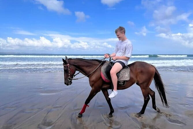 Bali Horse Riding Seminyak Beach Experience Private Transport - Should You Book This Seminyak Horse Riding Experience?