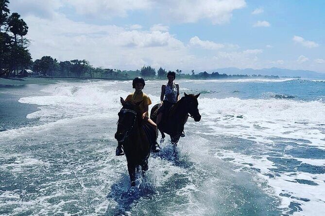 Bali Horse Riding Trot & Canter Saba Beach with Local Temple - The Ride Itself: Trot, Canter, and Ocean Views on Black Sand
